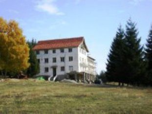 1146.jpg