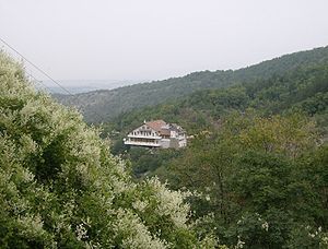 2656.jpg