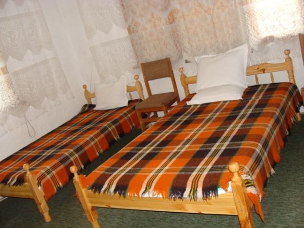 5444.jpg
